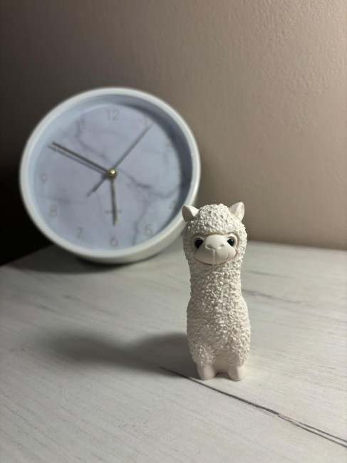gips_lama_4.jpg