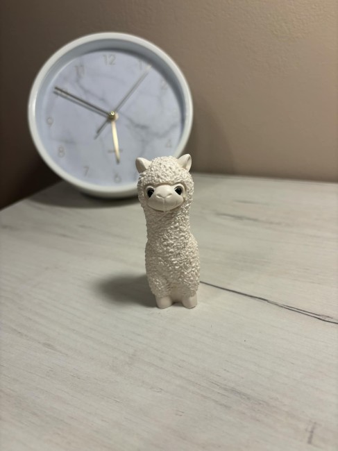 gips_lama_1.jpg