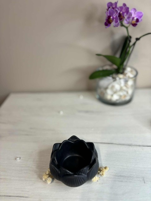 c834be5d-a32a-4e01-a925-57cfad383058.jpg