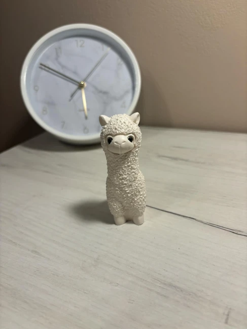 gips_lama_1.jpg