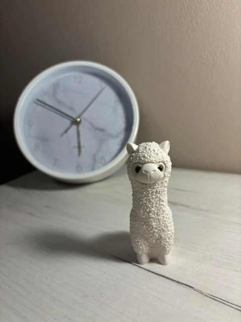 gips_lama_4.jpg